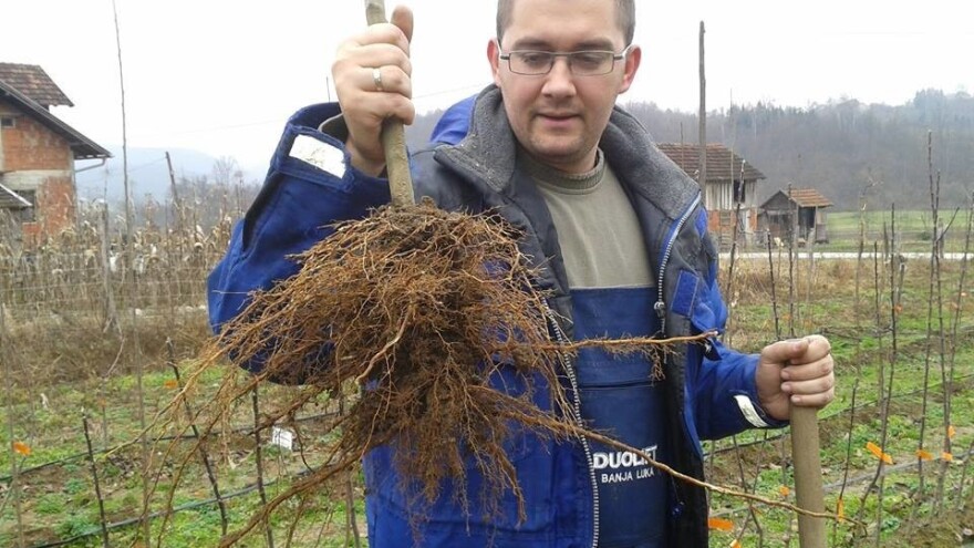 Petar Ninić radi u gradu, a ulaže u selo – šta je s ostalim mladima?