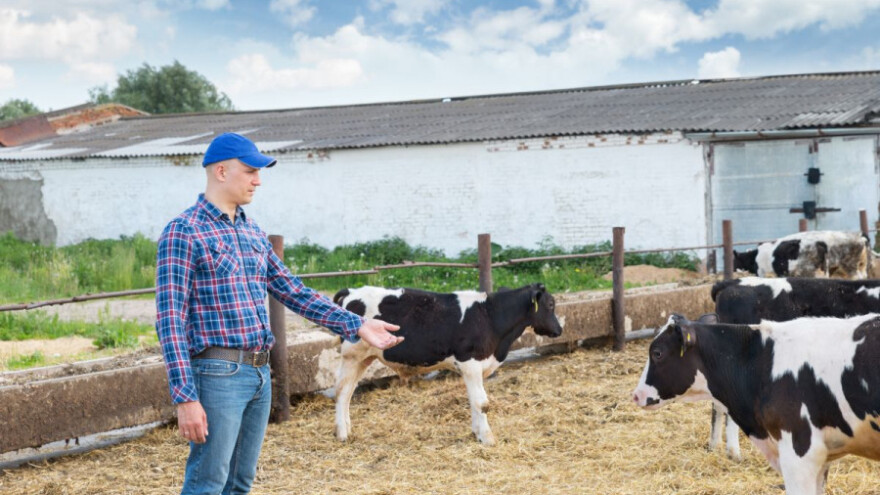 Petir: 10 eura po grlu nije dovoljno!