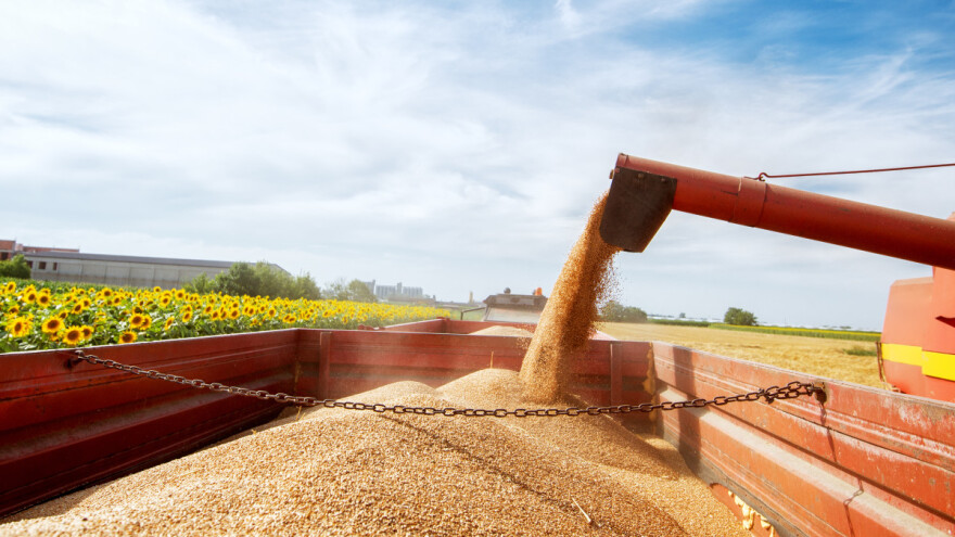 Slovenija će otkupiti svu domaću pšenicu - traži se ostavka premijera i ministarke