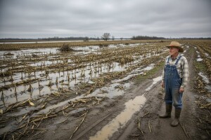Petogodišnje ukidanje poticaja za lažne prijave?!