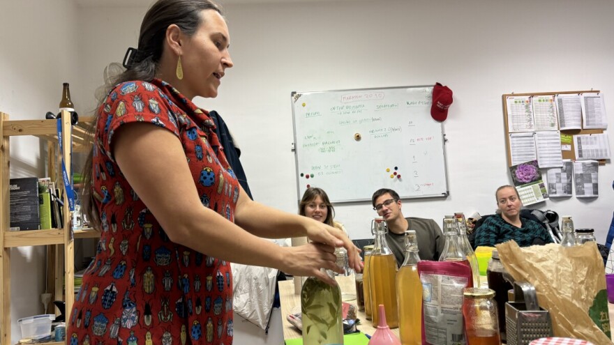 Fermentiranim napitcima do boljeg imuniteta, imamo i recept za kombuchu