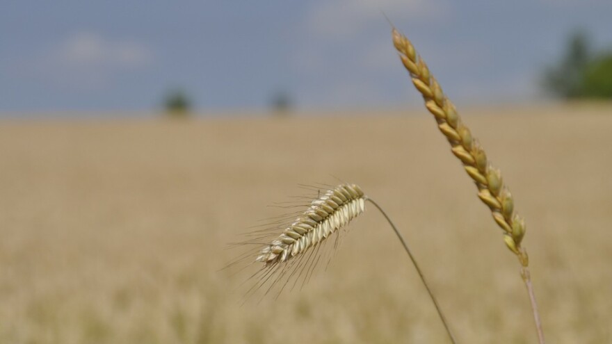 Tri puta manje žalbi na zahtjeve za podsticaje