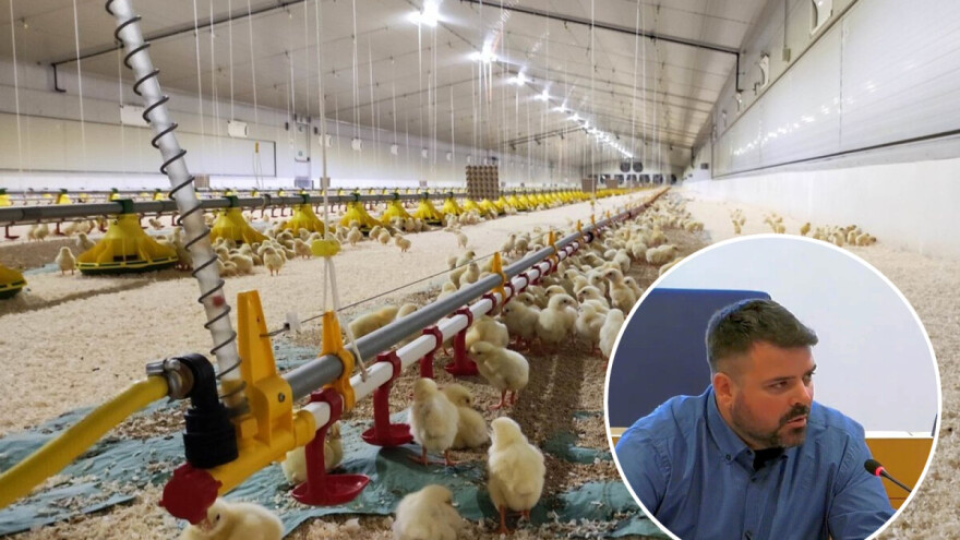 Predsjednik Europskog udruženja peradara: Europa ne želi ukrajinski model poljoprivrede