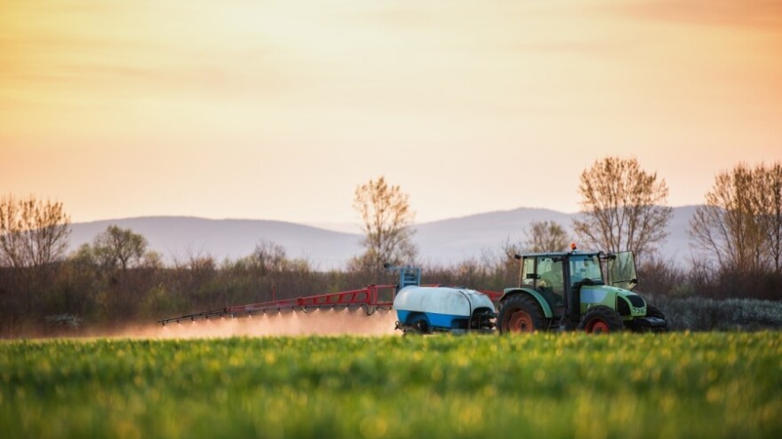 Folijarna prihrana za kvalitetniju pšenicu