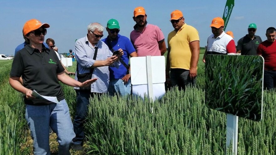 Zajednička primjena UAN-a i zaštitnih sredstava u prihrani pšenice