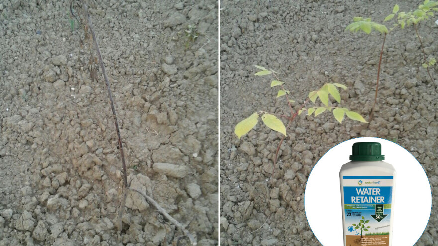 Water Retainer - revolucionarni proizvod koji pomaže biljkama da prežive duže bez kiše!