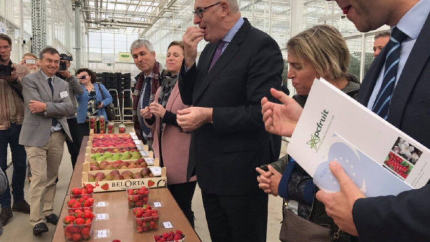 Fil Hogan odgovara na vaša pitanja!