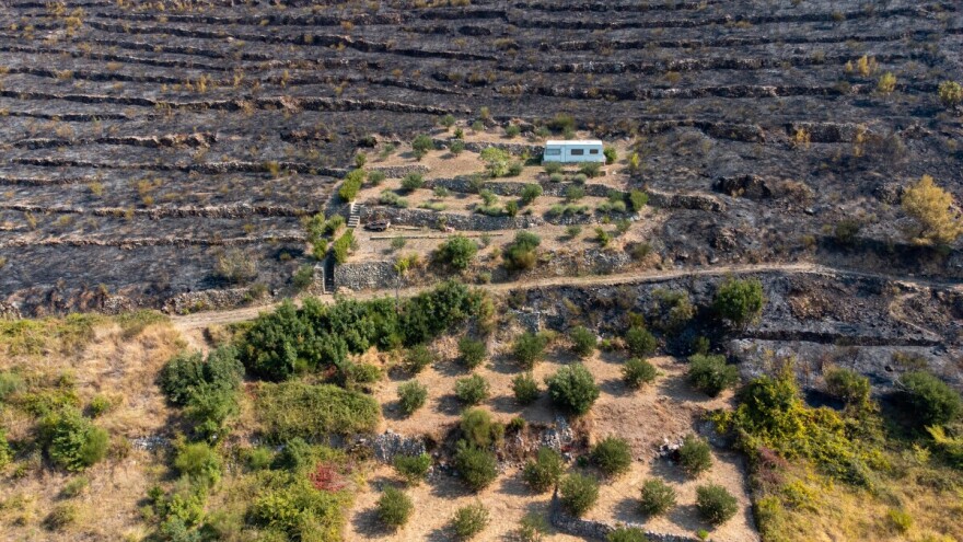 Klimatske promjene utječu na nastanak i gašenje požara - evo kako ga spriječiti