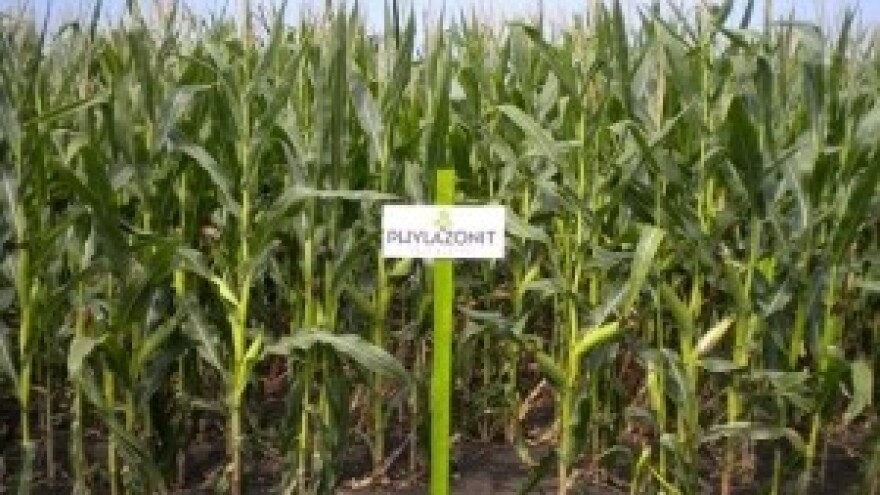 Zdrave biljke možemo uzgajati samo na zdravom tlu