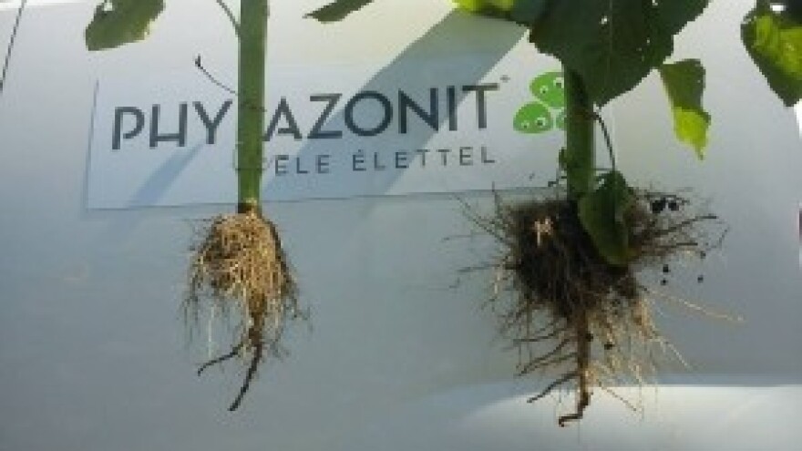 Veći prinosi i bolja struktura zemljišta