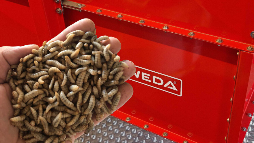 Stočna hrana: Najveće evropsko postrojenje za uzgajanje insekata u Poljskoj