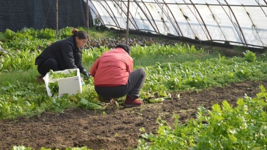 Prijava poljoprivredne proizvodnje!