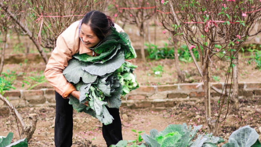 Izmjene Pravilnika u podmjeri 4.3