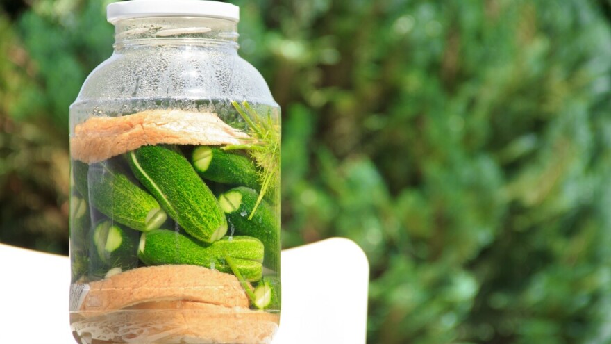 Tako su radili naši stari: Kiseljenje krastavaca i mahuna na suncu