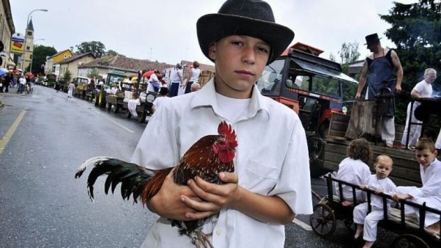 Postani dio legende o Picokima!