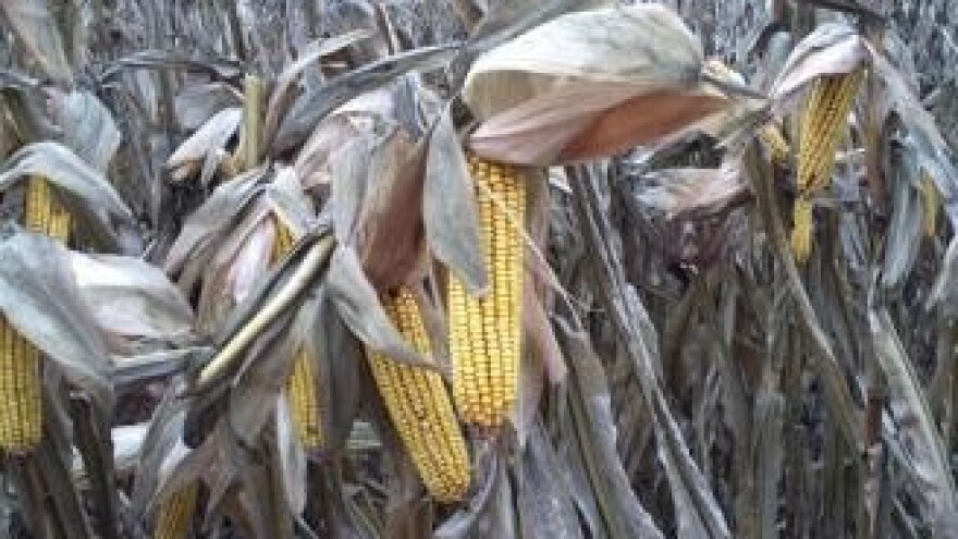 EU AgroInfo i Agrotehnika - broj 4