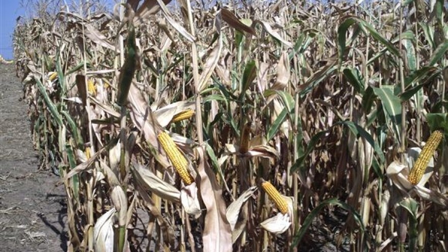 Predusjevi - naputak EU