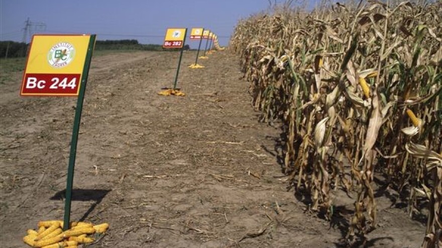 BC Institut grabi velikim koracima