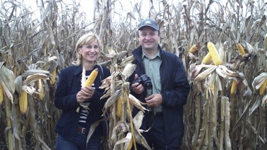 Katava i Alkhamis spremni za Agrozemlju 2008