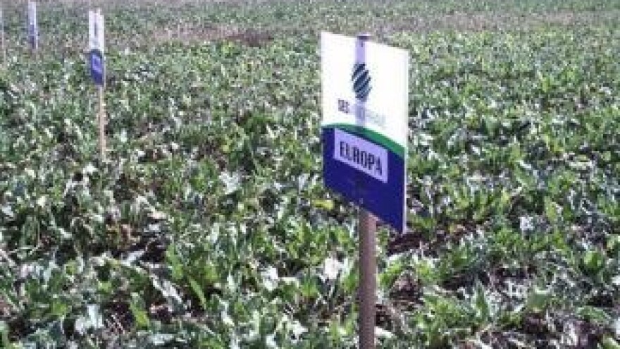 Počelo gorko vađenje šećerne repe