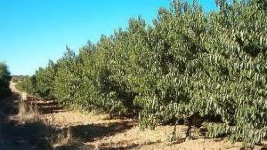 Veliki potencijal "vikend" poljoprivrednika