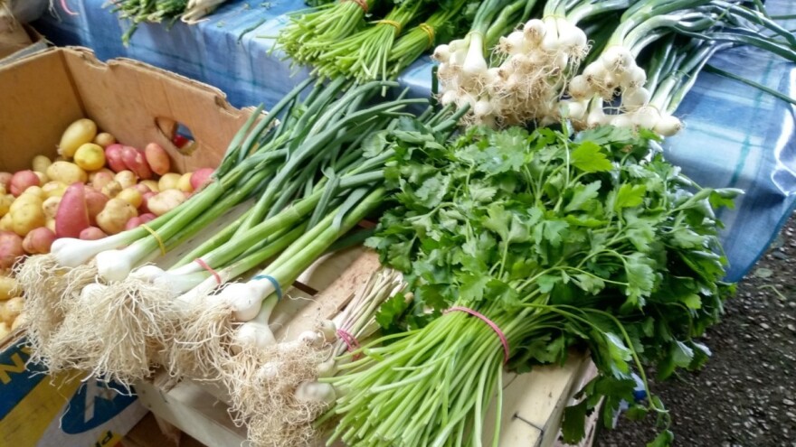 Mastalo: Ako budemo imali više domaćeg povrća, cijene će biti pristupačnije