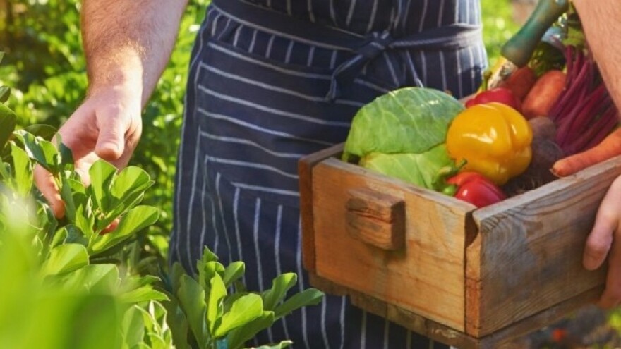 Zašto je naša poljoprivreda zapostavljena, iako imamo raspoložive resurse?
