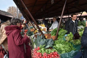 Koji su pravi uzroci pada prodaje na našim pijacama?