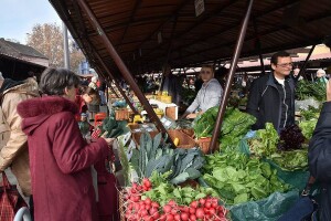 Koji su pravi uzroci pada prodaje na našim pijacama?