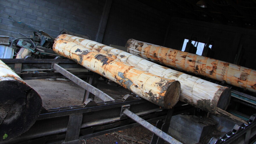 Osigurana i obrtna sredstva za poduzetnike u preradi drva i proizvodnje namještaja