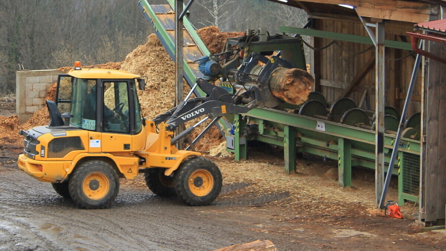Obitelj Trbović - od tokarije, preko šumarstva do pilane Đurići