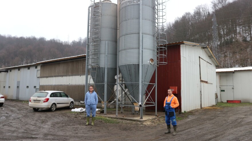 Nesuđeni Amerikanac: Mušan spasio farmu i radnike