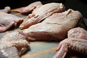 Piletina u Srbiji za sada bez prisustva antibiotika