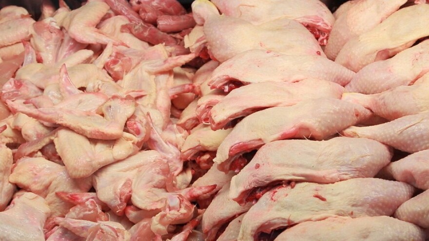 Povećali proizvodnju piletine na sopstveni gubitak, sad bilježe rast izvoza od 61%