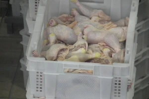 Blokiran uvoz stočne hrane, da li je u najavi nestašica piletine?