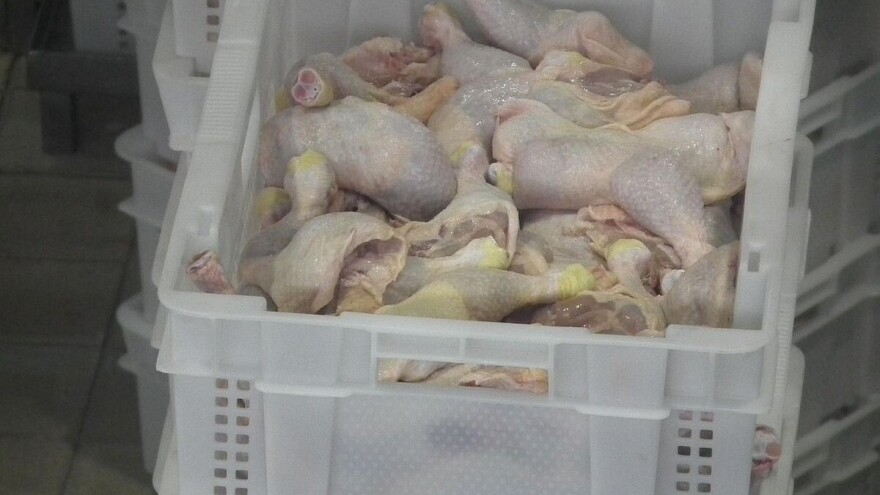 Blokiran uvoz stočne hrane, da li je u najavi nestašica piletine?