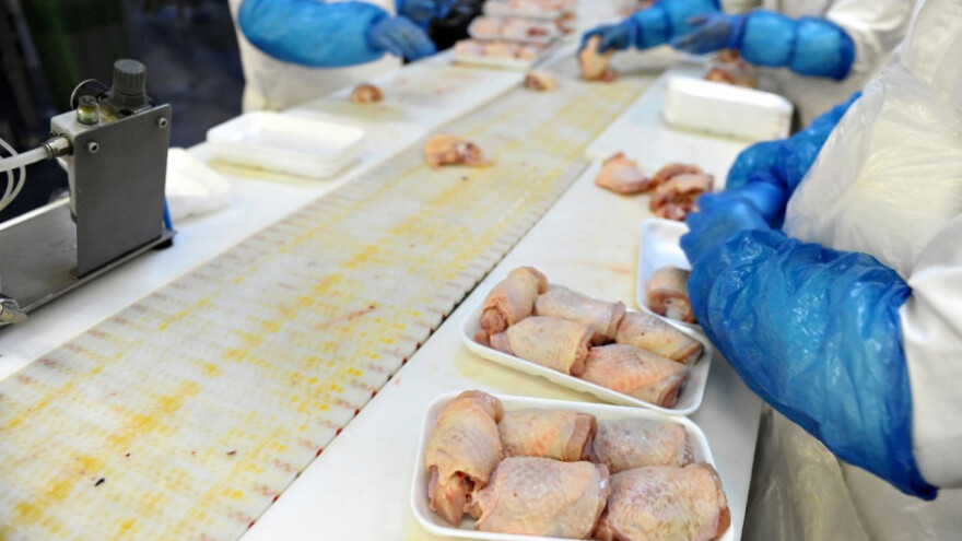 Preventivna kontrola piletine na salmonelu