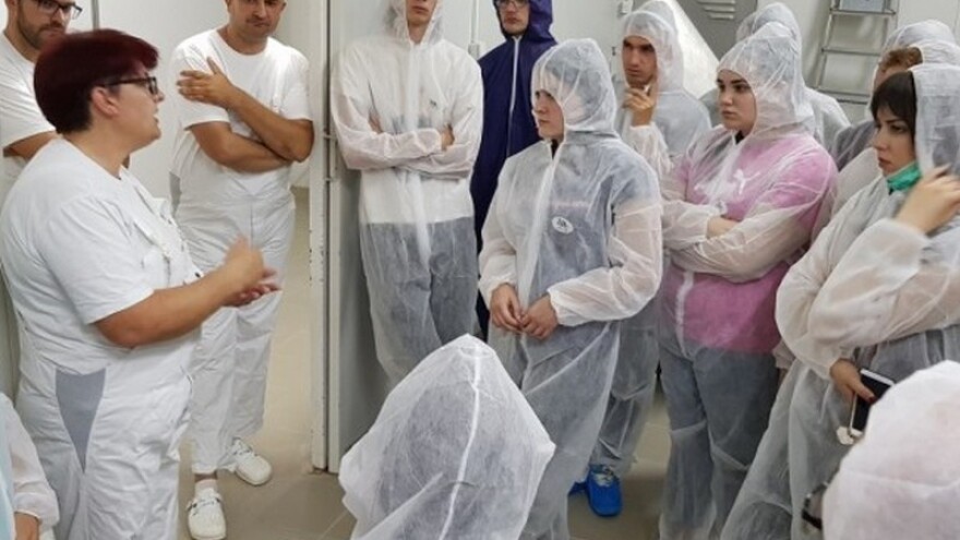 Pileće meso u BiH: Na putu proizvodnje od jajeta do mesa treba zadobiti povjerenje potrošača