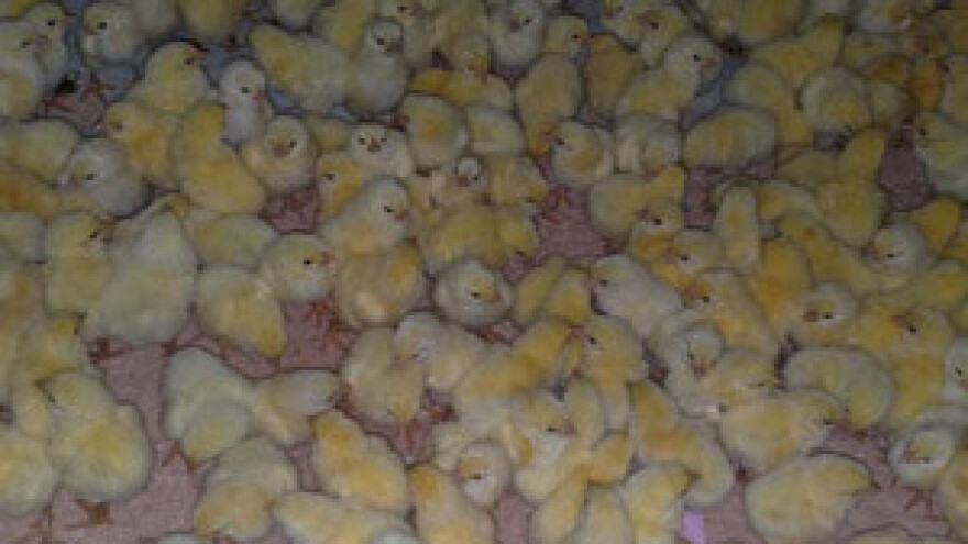 Prilagodba farmi EU standardima