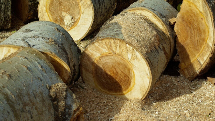 Upotreba piljevine u poljoprivredi