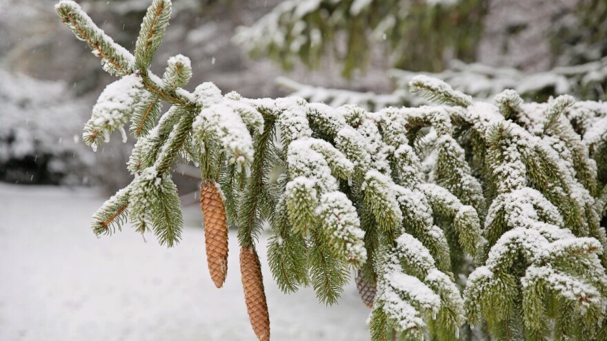 Čeka nas oblačna sedmica popraćena kišom i snijegom