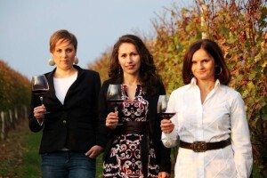 Drugi sajam vina i kulena u Orahovici