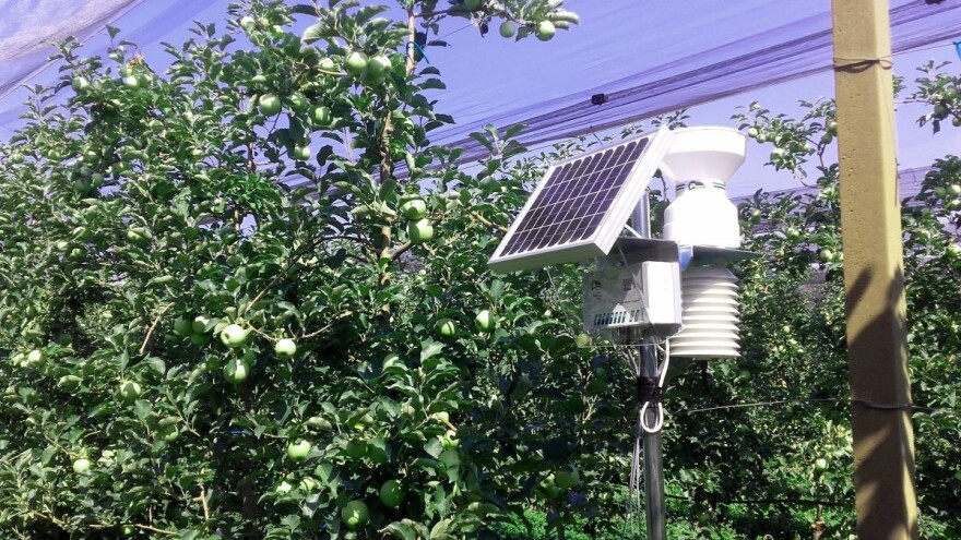 Navodnjavati ili ne? Koju zaštitu provesti? Odluke donesite uz pomoć specijaliziranih agrometeoroloških stanica!