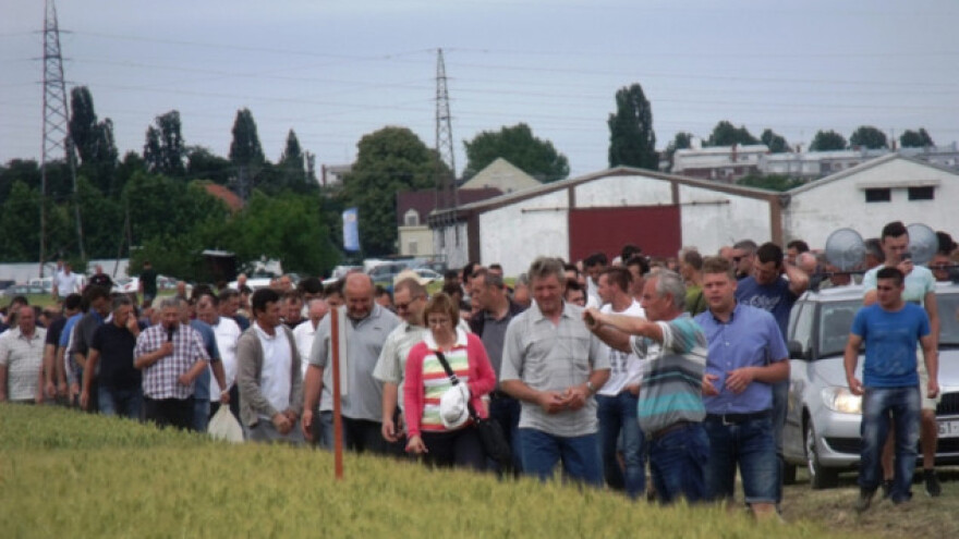 Visokorodne krušne sorte proizvod domaćih mozgova