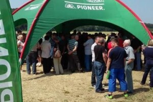 Pokusni usjevi s duplim redovima iz Pioneera!