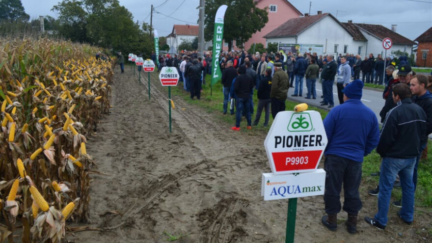 Pioneer hibridi unatoč suši pokazali visoke prinose!