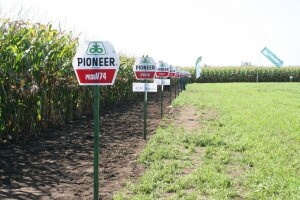 Pioneer hibridi nastavljaju tradiciju kvalitete!