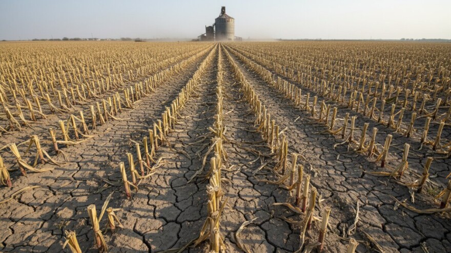 Pioneer otišao za boljim uvjetima proizvodnje