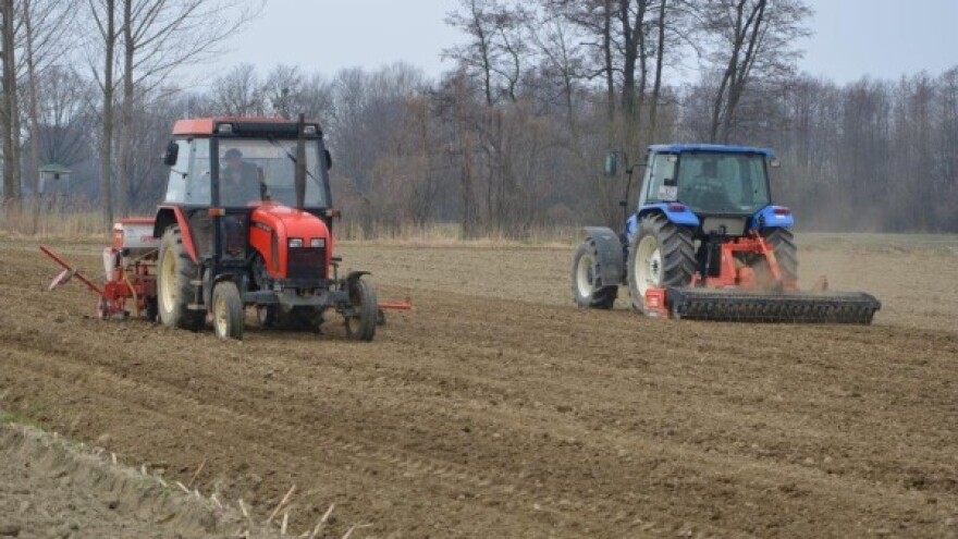 Rana sjetva - da ili ne?