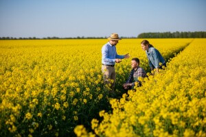 Pioneer uljana repica prošla na ispitu!